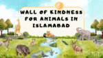 Wall of Kindness for Animals in Islamabad